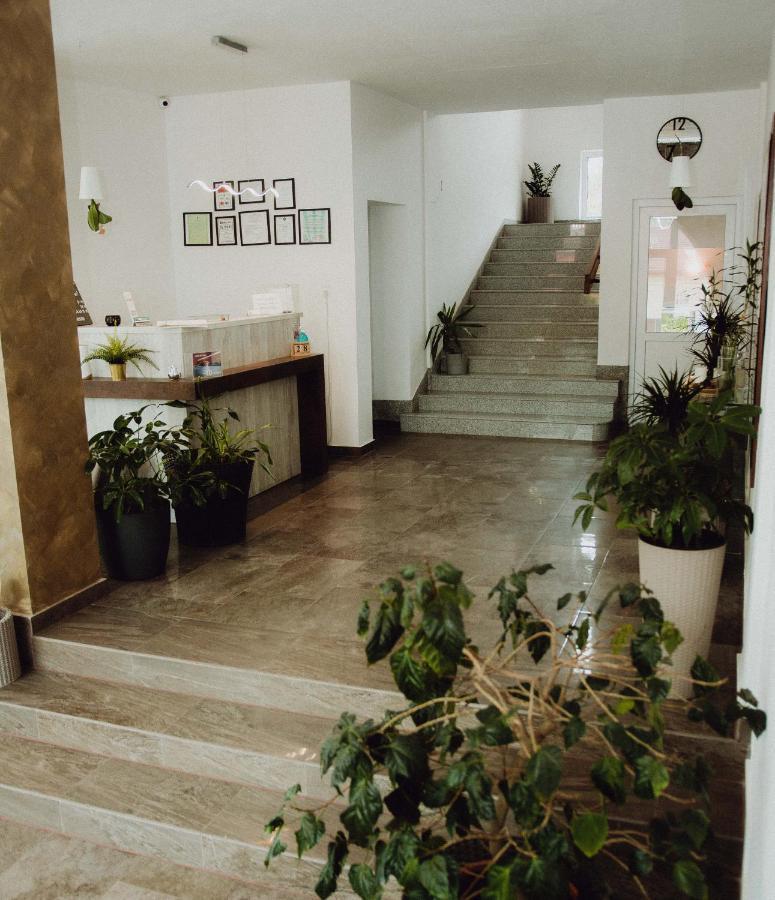 Vila Ursul Negru Sovata Bagian luar foto