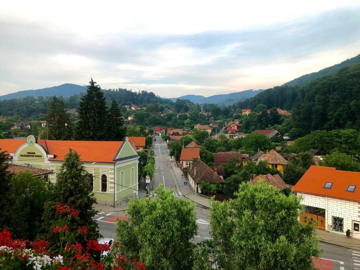 Vila Ursul Negru Sovata Bagian luar foto